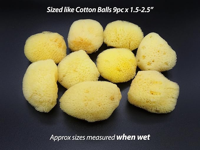 Natural Sea Silk Sponges 12pk, Cosmetic Grade Makeup & Blending Facial Care
