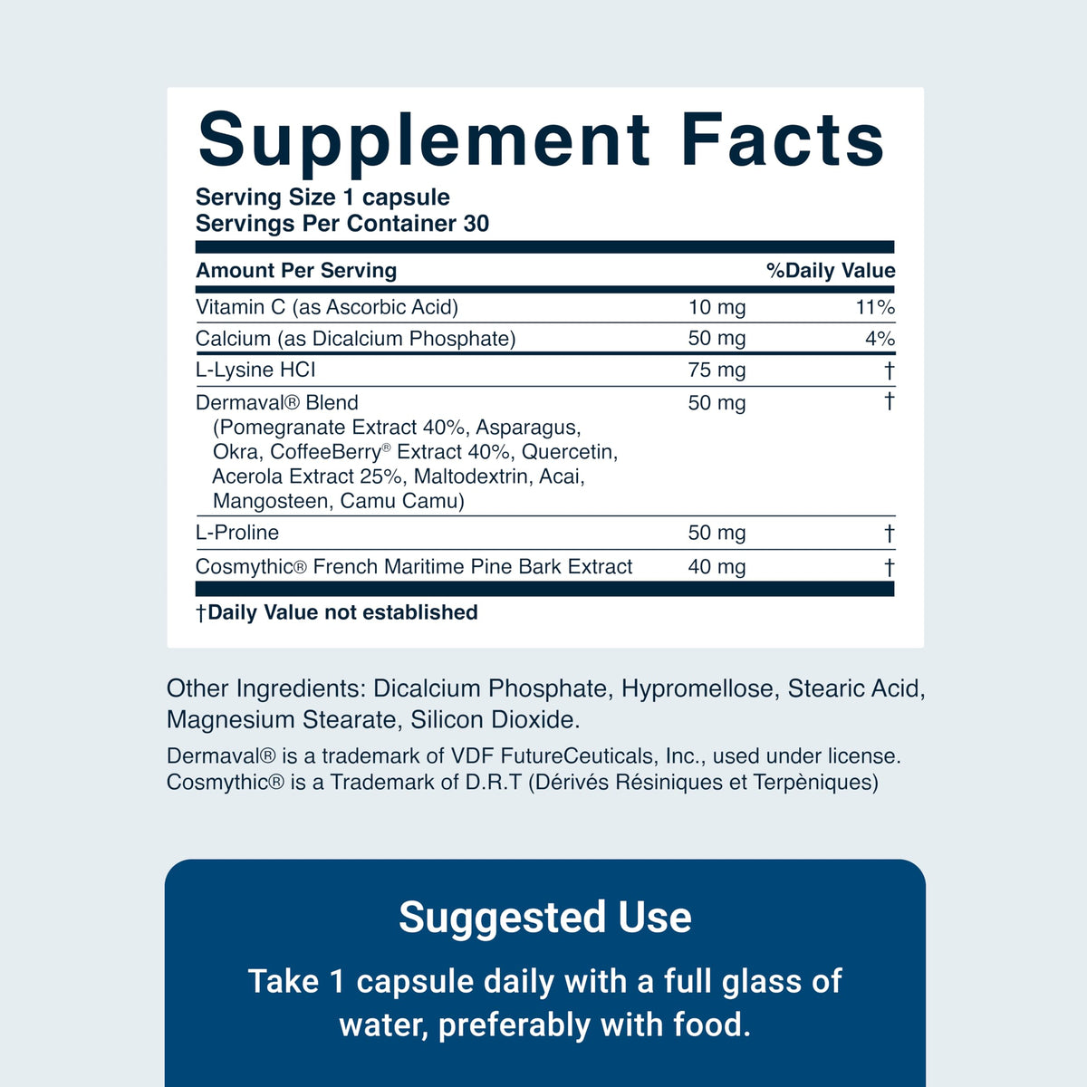 ACTIVATEDYOU Essential Skin Food, Collagen Support Supplement, 30 Capsules