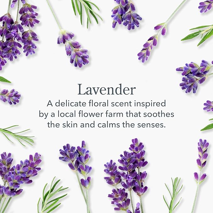 Beekman 1802 Goat Milk Hand Soap, Lavender, 12.5 fl oz
