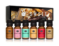 P&J Trading Fragrance Oils for Diffusers for Home Sweet Set Fragrance Scents for Candle Making - Soap Making Supplies - Car Diffuser Scents - Essential Home Gift Set - Cotton Candy, Smores & More