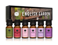 P&J Fragrance Oil Favorites Set | Fresh Cotton, Amber, Leather, Strawberry Shortcake, Lilac, Vanilla for Candle Making, Soap Making Supplies, Diffuser Oils Scents
