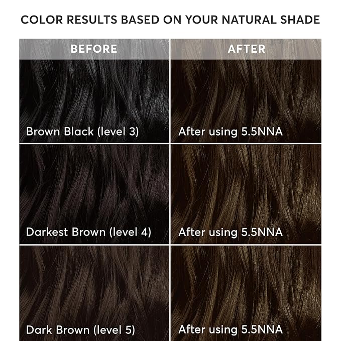 Madison Reed Radiant Hair Color Kit - 100% Gray Coverage for Resistant Grays, 5.5NNN Dark Brown with Warm Golden Tones (Modena Brown) | PPD-Free & Ammonia-Free, 1 Pack