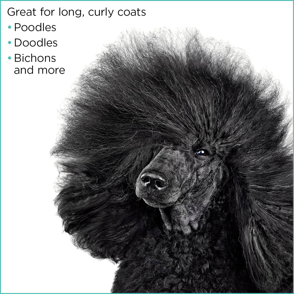 Groomer Essentials Straight Shear 8"