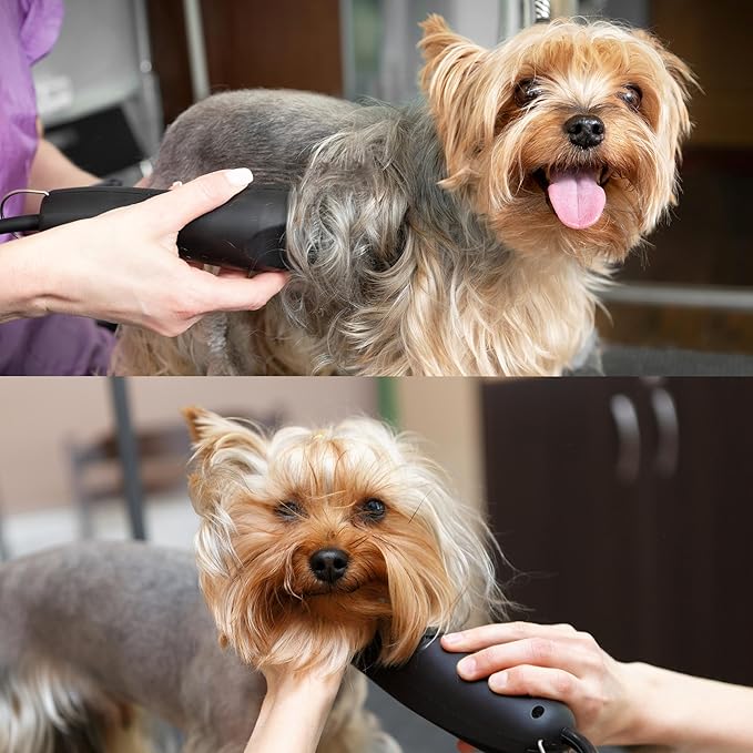 Detachable A Series Wide 15 Blade Dog Grooming Cut Length 3/64" - 1.0mm Japanese Carbonized Steel Wide Blades 15 Clipper Blades and Dog Clipper Blades 15 Compatible A5 Series(15W)