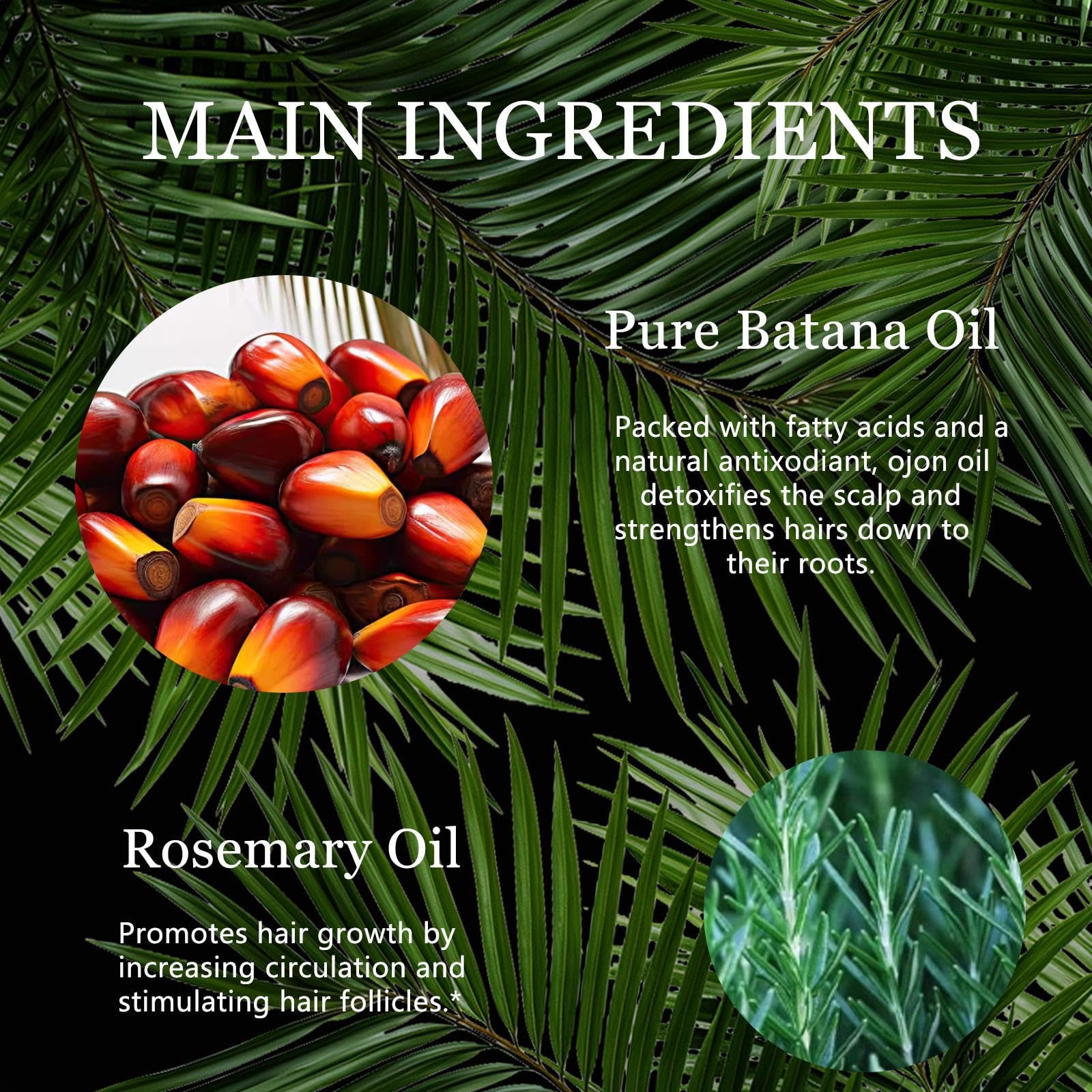 Tgideas Rosemary Batana Hair Oil for Scalp Care & Hair Strengthening 1 Pack