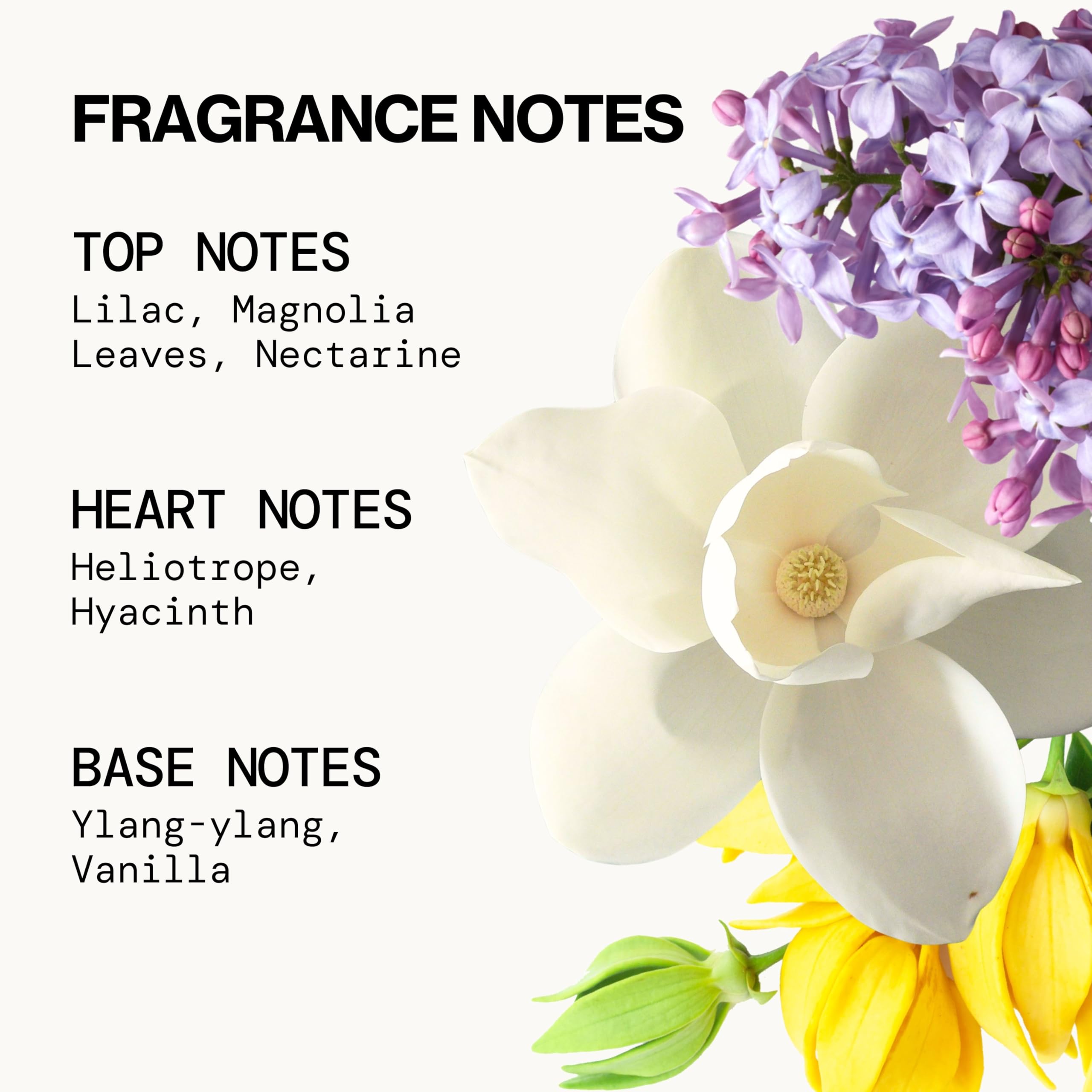 Pacifica French Lilac Hair & Body Mist – Clean Vegan Floral Hair Perfume Spray for Women, Fresh-Cut Lilac, Magnolia & Heliotrope Notes, Alcohol-Free Head-to-Toe Fragrance, Cruelty-Free, 6 Fl Oz