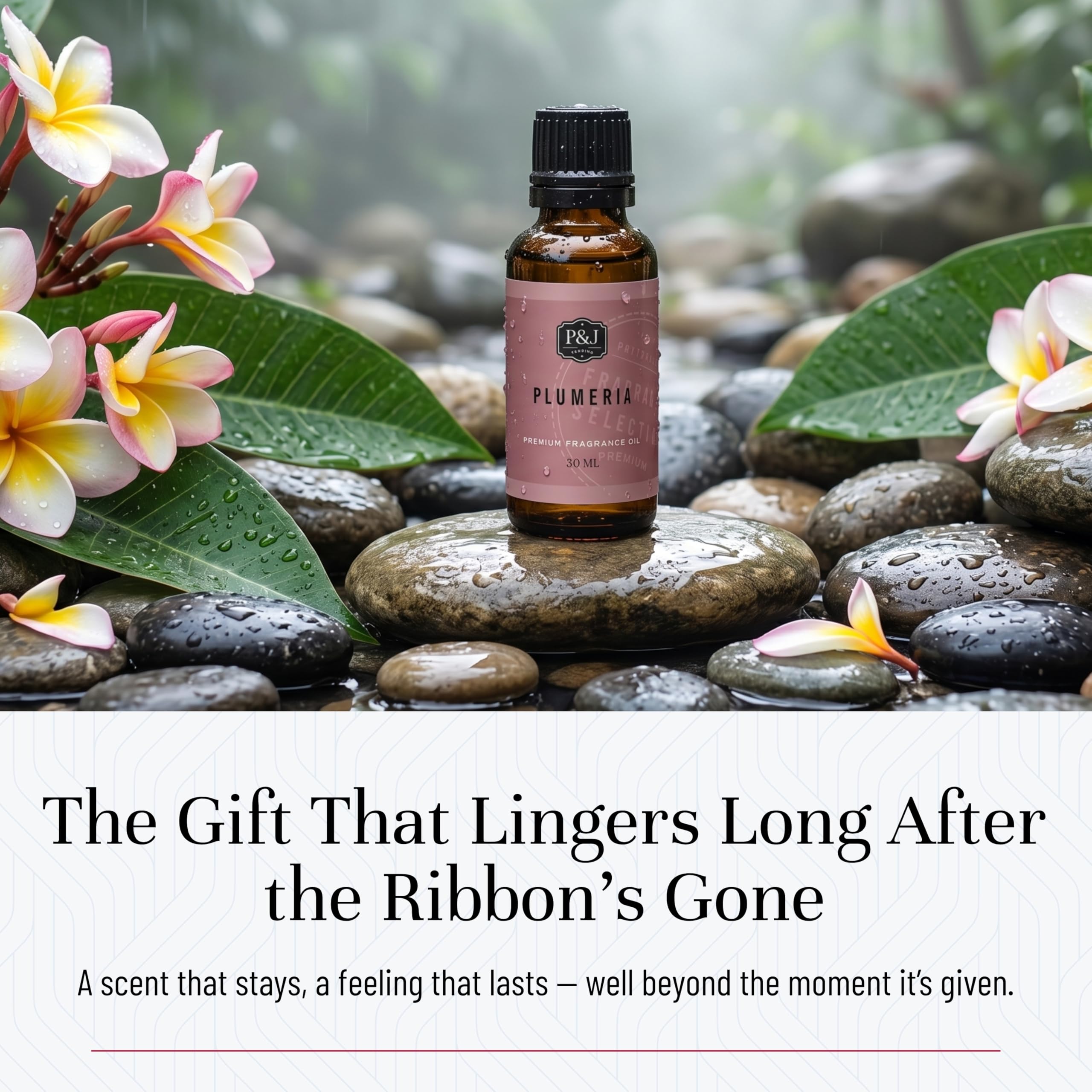 P&J Trading Fragrance Oil | Plumeria Oil 30ml - Candle Scents for Candle Making, Freshie Scents, Soap Making Supplies, Diffuser Oil Scents