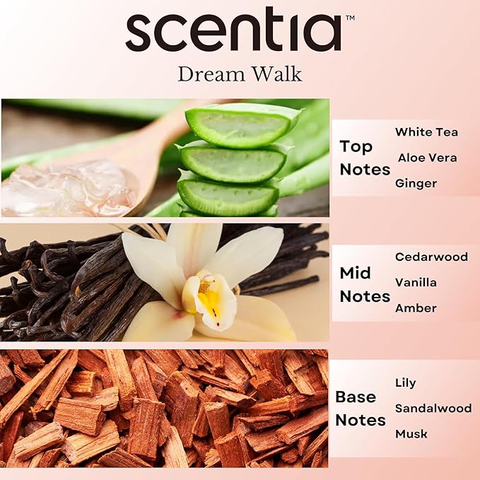 Scentia Dream Walk Aromatherapy Oil for Diffuser – Hotel Scent Inspired by 5-Star Spa Resort – 20 mL – White Tea, Cedarwood & Amber Natural Fragrance Oil for Waterless & Cold Air Diffusers