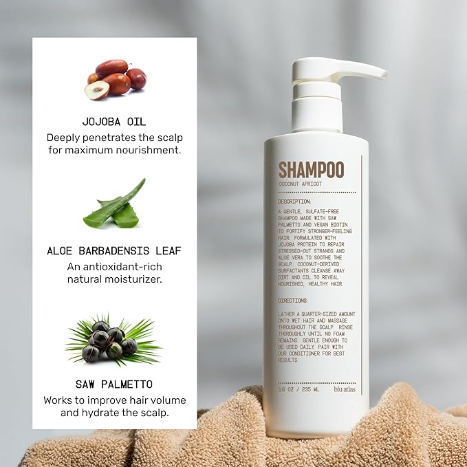 Blu Atlas Natural Shampoo for Men — Sulfate-Free for All Hair Types, 15 Ingredients, No Filler, Helps with Dandruff and Dry Scalp — Coconut Apricot Scent, 16 oz