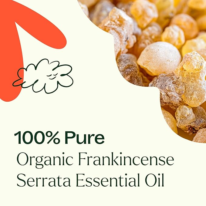 Plant Therapy Organic Frankincense Serrata Essential Oil, 100 mL (3.3 oz), USDA Certified Organic, 100% Pure and Undiluted, Great for Aromatherapy and DIY Skin Care