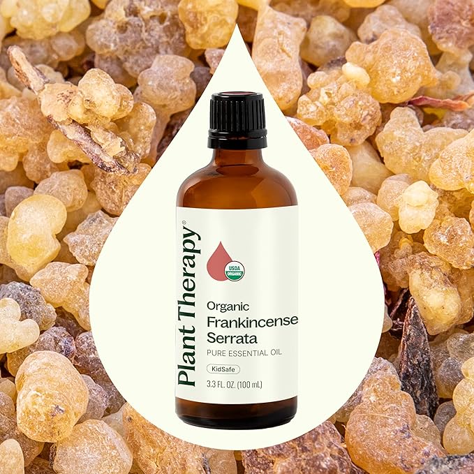 Plant Therapy Organic Frankincense Serrata Essential Oil, 100 mL (3.3 oz), USDA Certified Organic, 100% Pure and Undiluted, Great for Aromatherapy and DIY Skin Care