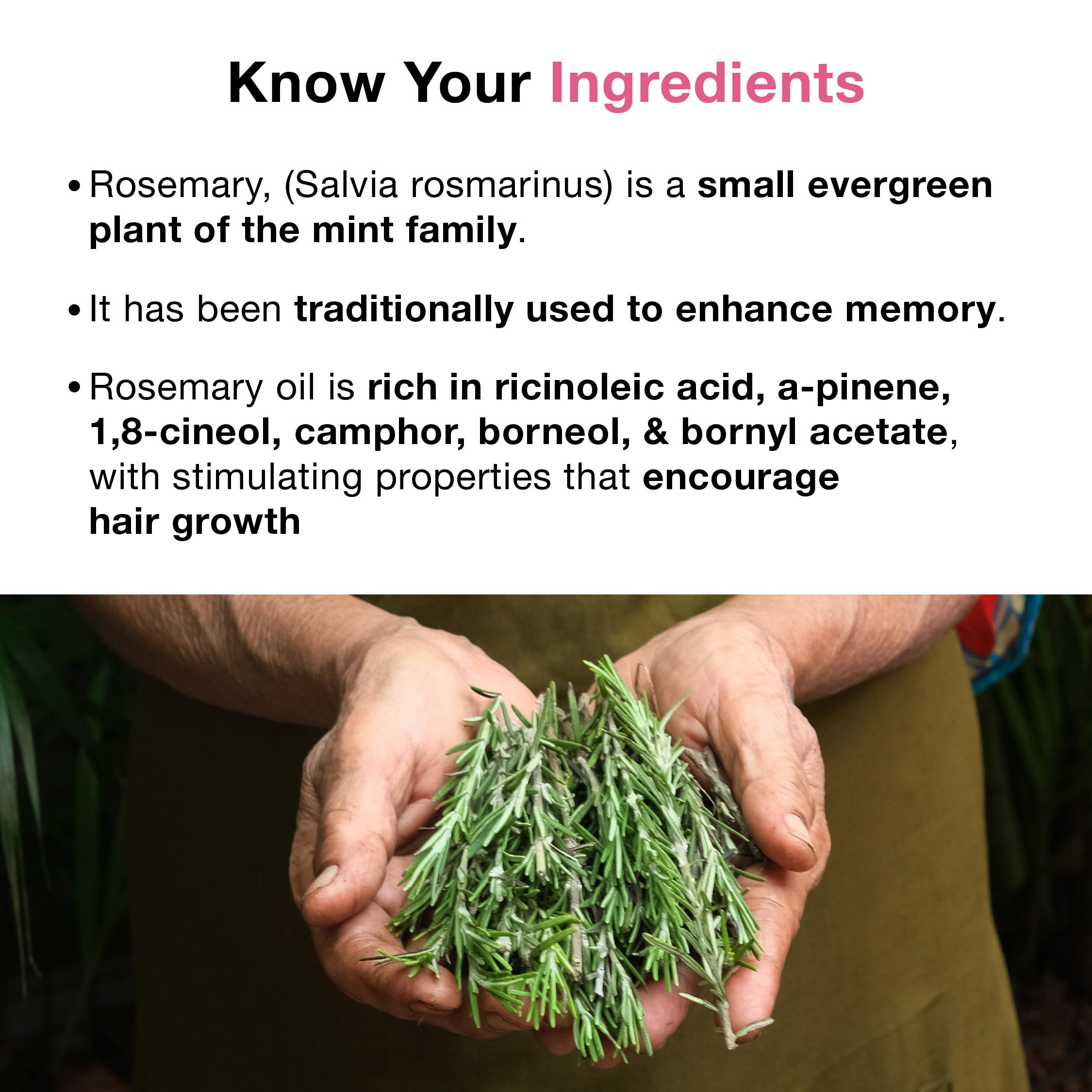 Soulflower 100% Pure Rosemary Oil for Hair Growth, Hair Fall Control, Strengthening, Volumising Hair Oil for All Types | Organic Certified (1 fl oz)