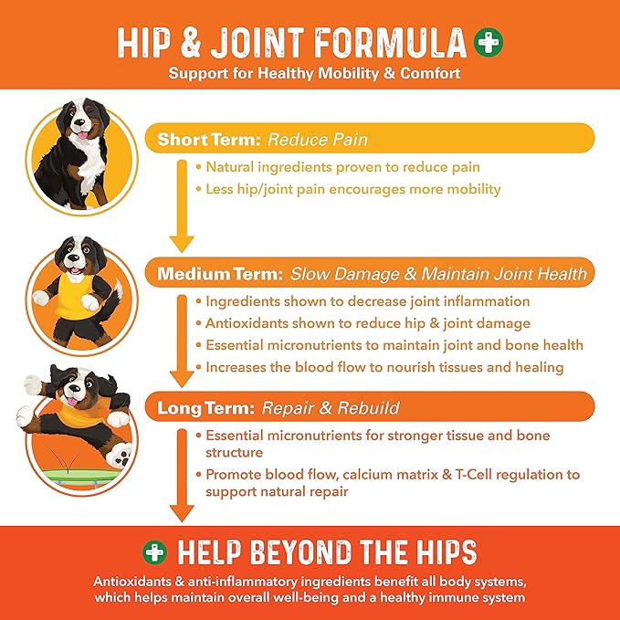 Bernie's Healthy Hips, Hip and Joint Supplement for Dogs, 90 Ct Soft Chews