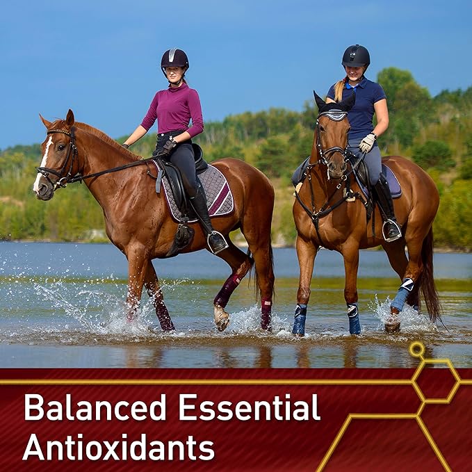 Vita Flex Pro E & Selenium Supplement, Vitamin E and Selenium Powder for Horses, Balanced Antioxidants, Equine Vitamin E Supplement, Horse Vitamins and Minerals, 4 lb, 64-Day Supply