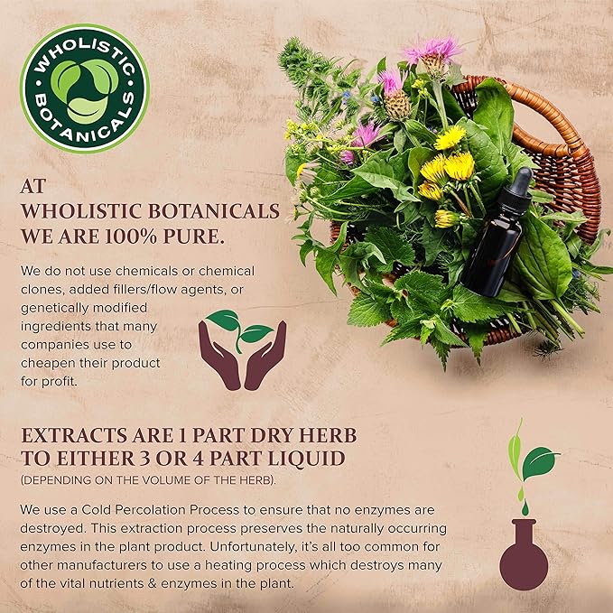 Wholistic Botanicals Castor Oil — Skin Care, Vitamin E Oil for Hair Growth — Face Oil and Hair Serum