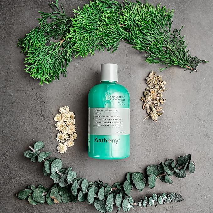 Anthony Invigorating Rush Men's 3 in 1 Shampoo Conditioner Body Wash, Hydrating Shampoo and Body Wash with Charcoal, Eucalyptus, Birch Leaf, Sea Kelp & Canadian Balsam, 12 Fl Oz