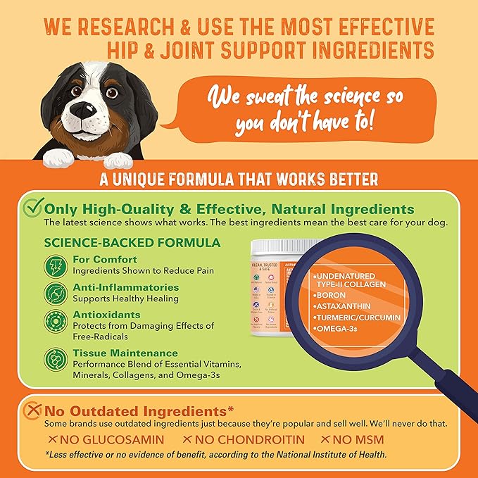 Bernie's Healthy Hips, Hip and Joint Supplement for Dogs, 90 Ct Soft Chews