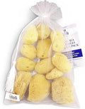 Natural Sea Silk Sponges 12pk, Cosmetic Grade Makeup & Blending Facial Care
