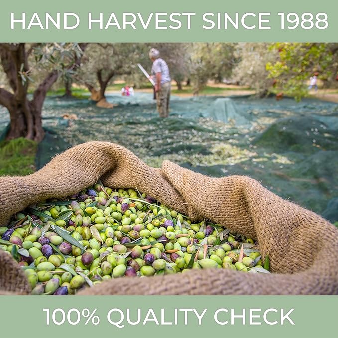 N°1 Drinking Extra Virgin Olive Oil - Italian Olive Oil from Italy 2026 Gold Awards Winner - 522 High Polyphenols evoo - 100% Unrefined and Cold pressed evoo for Drinking and Finishing Use