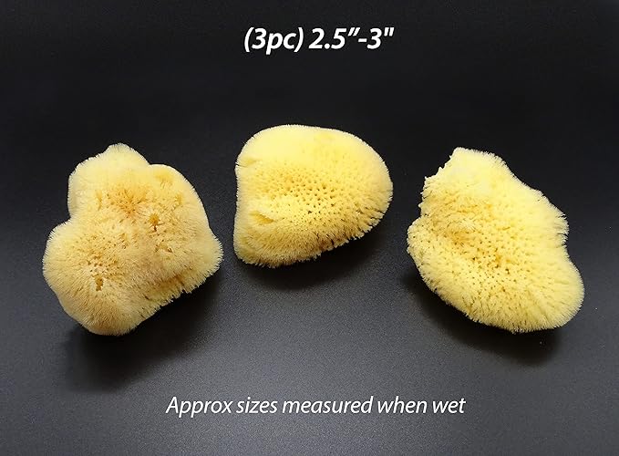 Natural Sea Silk Sponges 12pk, Cosmetic Grade Makeup & Blending Facial Care