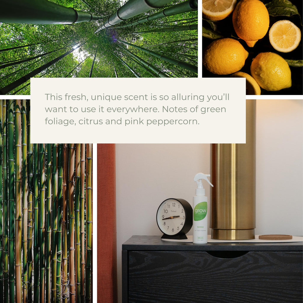 Grow Fragrance Scented Fabric and Room Air Freshener Spray - Certified Non-Toxic, 100% Plant-Based Essential Oils - 5 oz (Bamboo 2-Pack)