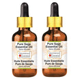 Greenwood Essential Pure Holy Basil Essential Oil (Ocimum Sanctum) with Glass Dropper Steam Distilled (Pack of Two) 100ml X 2 (6.76 oz)