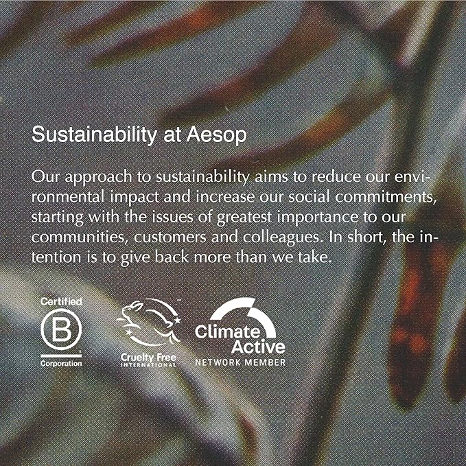Aesop Redemption Body Scrub | Fine-Grain Exfoliating Body Polish with Bamboo, Pumice & Sage | Smoothing, Cleansing Scrub for All Skin Types – Fresh Alpine, Woody Aroma | 6.2 oz